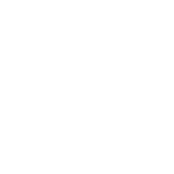 Presidential Detailing